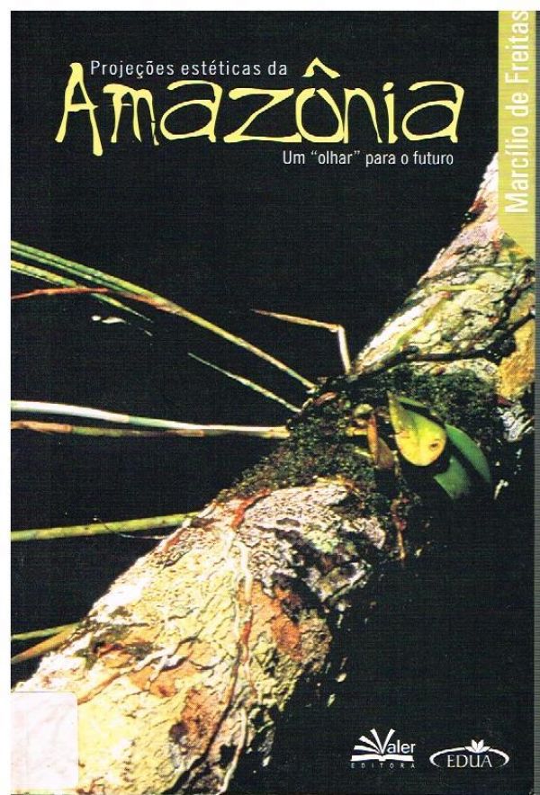 Projeções estéticas da Amazônia Um "olhar" para o futuro